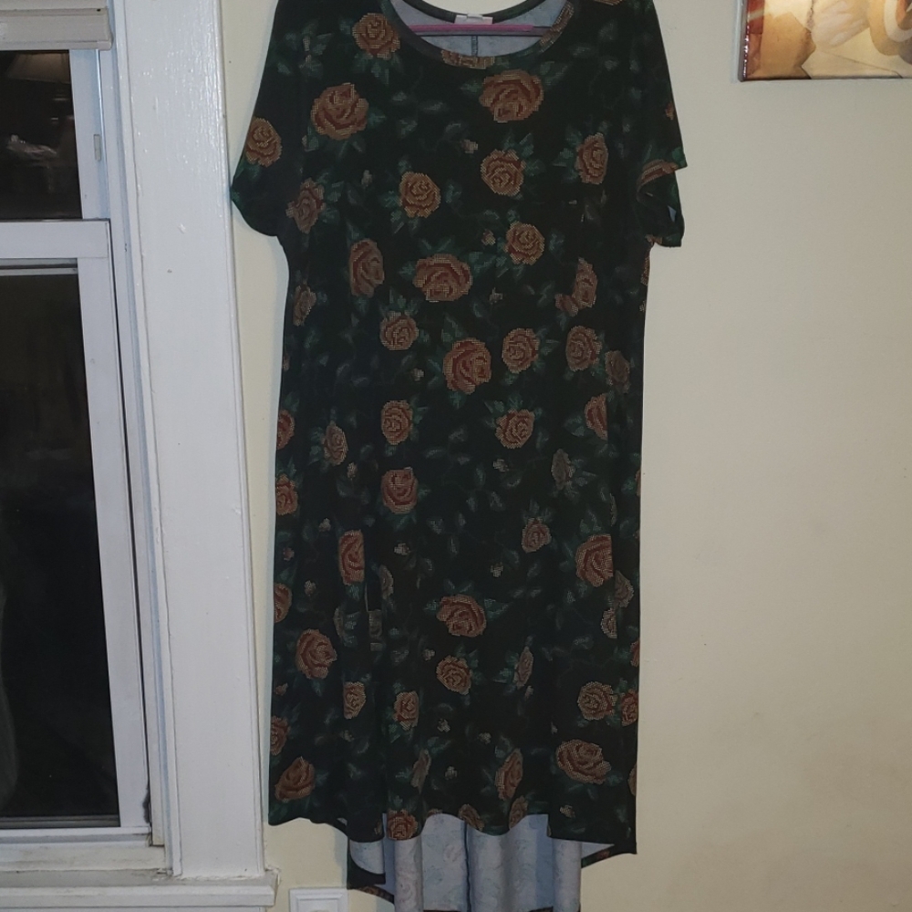 LuLaRoe "Digital Rose" Print Carly Dress L
